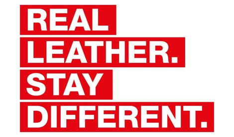 Comunicados Internacional