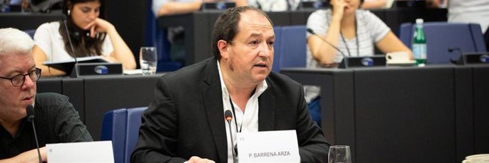Archivo - Pernando Barrena