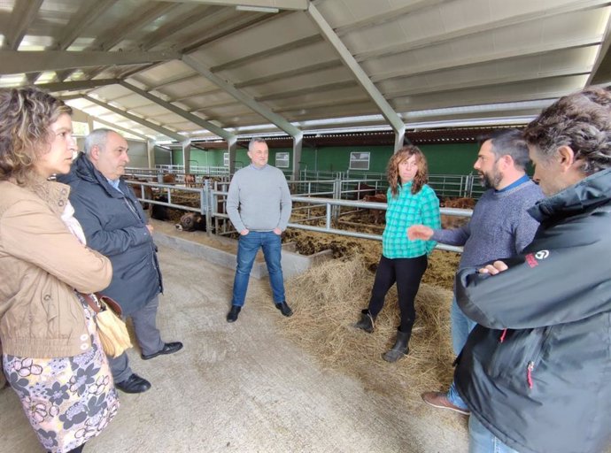 El diputado del PP en la Junta General, Javier Brea, visita una explotación ganadera en Los Oscos.