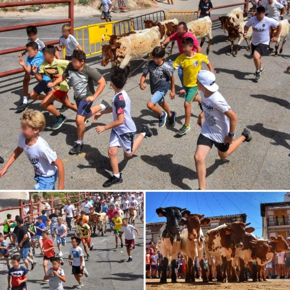 Pacma pide suspender de la Feria de Caza de Illana por programar un encierro para niños y prácticas ilegales de caza