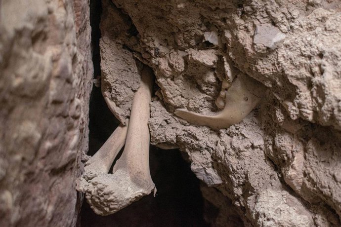 Descubren restos de los primeros pobladores de forma estable en Morella