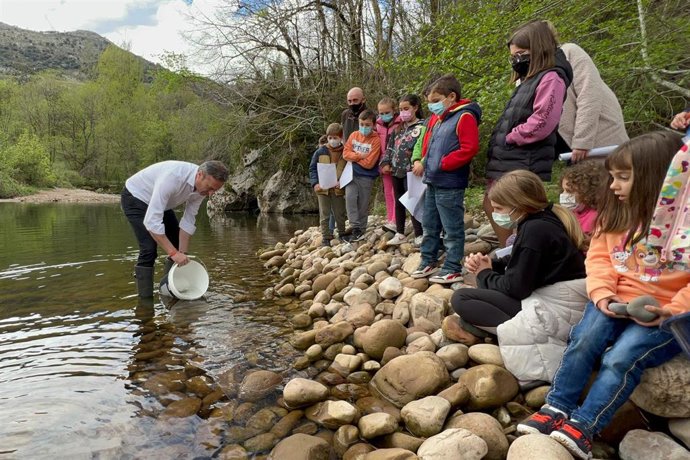 El consejero de Desarrollo Rural, Ganadería, Pesca, Alimentación y Medio Ambiente, Guillermo Blanco, participa en la suelta de ejemplares de salmón y trucha en el río Nansa ante la mirada de varios escolares