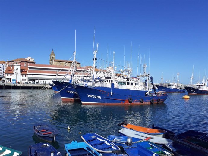 Archivo - Barcos pesqueros en el puerto de Bermeo (Bizkaia)