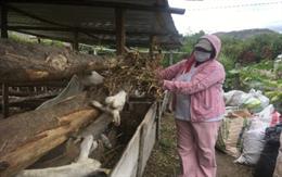 María Rubi Minda tiene 65 años y es madre soltera. Con siete hijos y trece nietos, emprendió hace años su propio negocio de producción de leche. Antes, era vendedora ambulante.