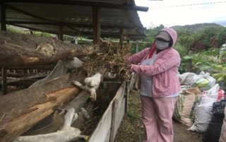 María Rubi Minda tiene 65 años y es madre soltera. Con siete hijos y trece nietos, emprendió hace años su propio negocio de producción de leche. Antes, era vendedora ambulante.