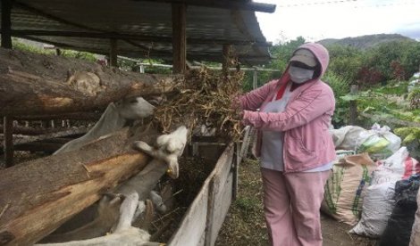 Cooperación y Desarrollo
