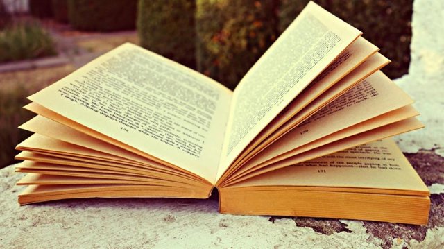 Archivo - Imatge de recurs d'un llibre