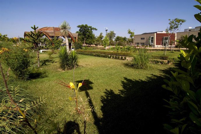 Archivo - Jardín Botánico de Albacete.