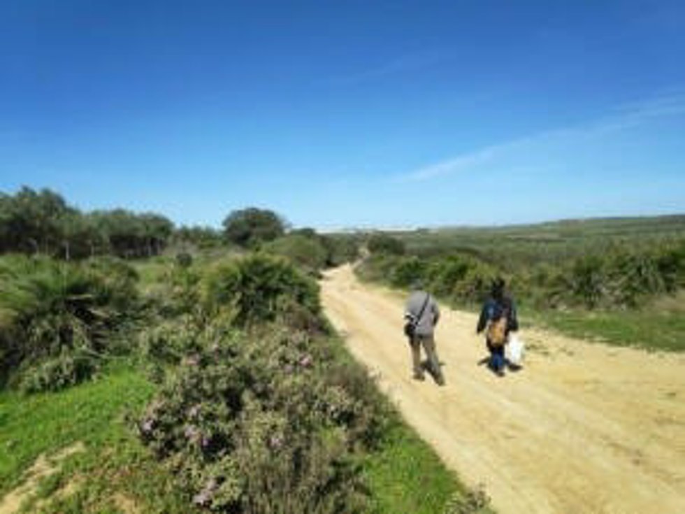 Una vía pecuaria de Arahal