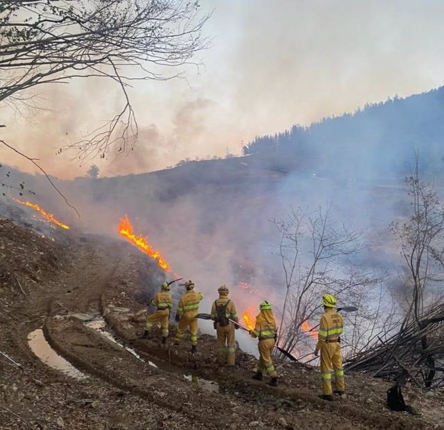 Incendio forestal en Lamasón.