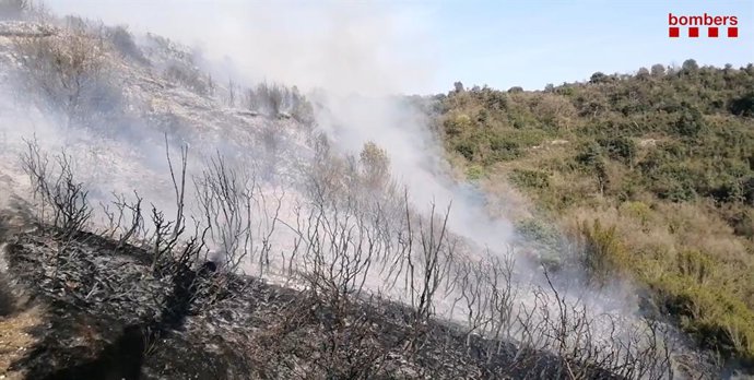 Un incendi forestal a Orís (Barcelona) crema tres hectrees