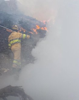 Efectivos extinguen un incendio forestal en Lamasón.