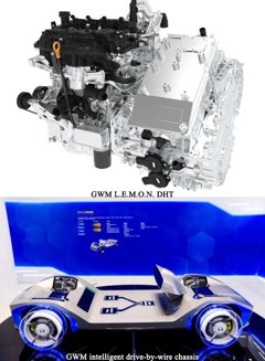 Comunicados Internacional