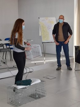 Programa de Captura, Esterilización y Suelta para el control de colonias felinas de la Diputación de Huelva