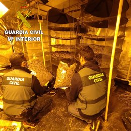La Guardia Civil detiene a 2 hombres por un delito contra la salud pública en la localidad de Canals