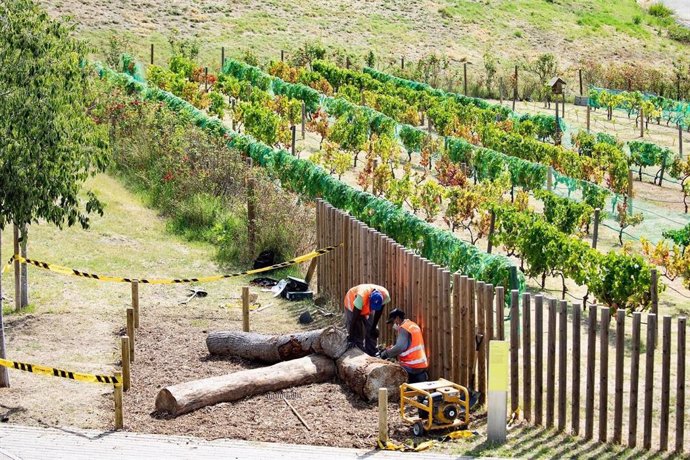 Archivo - Instalación de treinta refugios de biodiversidad creados a partir de árboles caídos por los temporales, especialmente durante el Glria, en los parques metropolitanos.