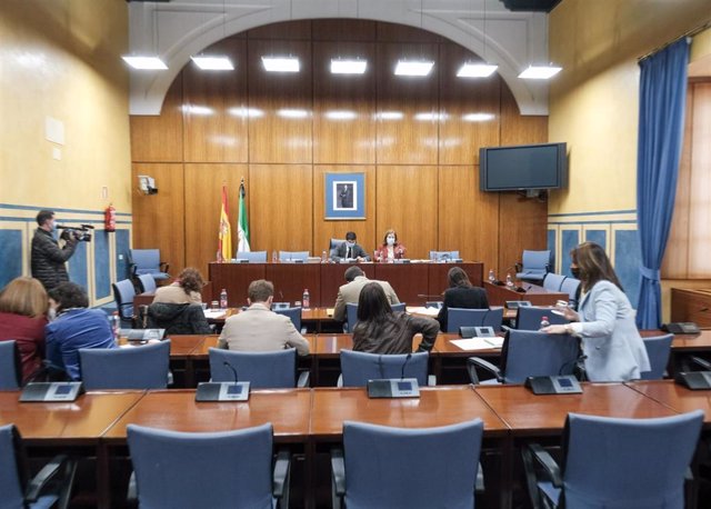 Sesión de trabajo de la comisión de investigación sobre la Faffe creada en el Parlamento andaluz (Foto de archivo).