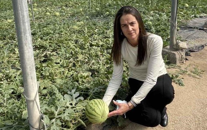 Campaña 'No Cortes en Verde'