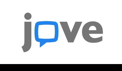 Comunicados Internacional