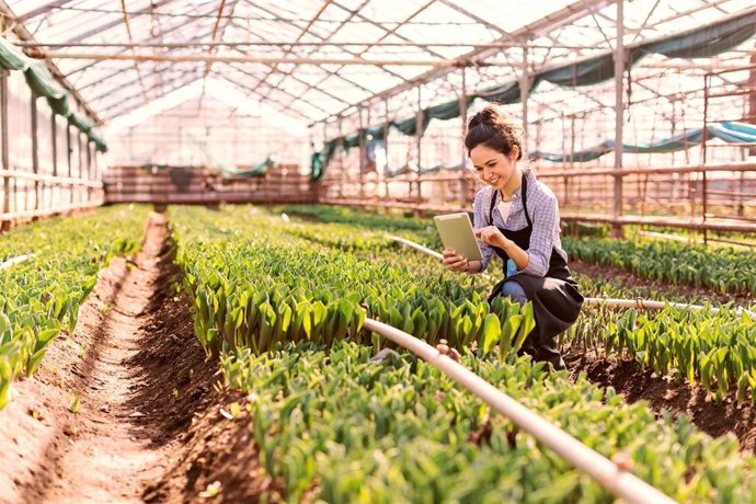 Archivo - Young woman using a digital tablet in a greenhouse, with copy space