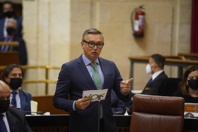 El portavoz parlamentario de Vox en Andalucía, Manuel Gavira, en el Pleno del Parlamento.