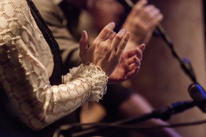 Archivo - Flamenco, imagen de archivo