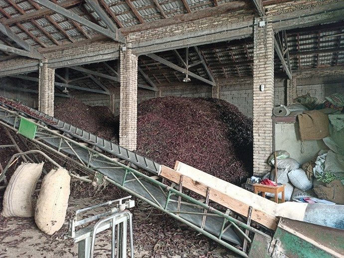 Almacén de algarroba