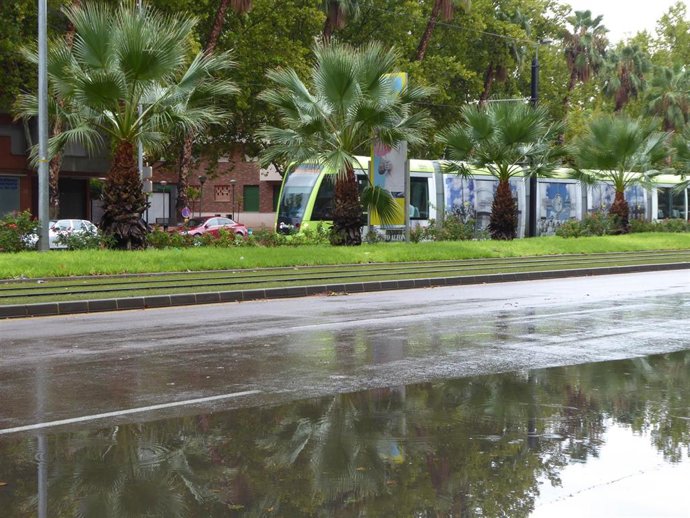 Archivo - TRANVÍA DE MURCIA 