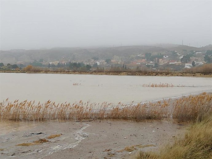 Archivo - Zona inundada por la crecida del Ebro.