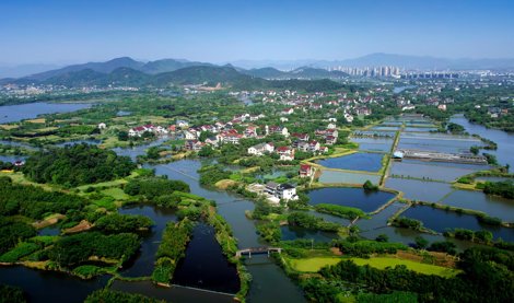 Comunicados Internacional