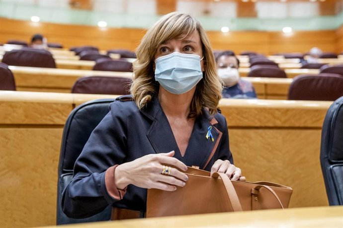 Sesión de control al Gobierno en el Senado