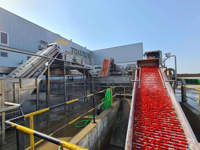 Planta de transformación de tomate ubicada en Extremadura.