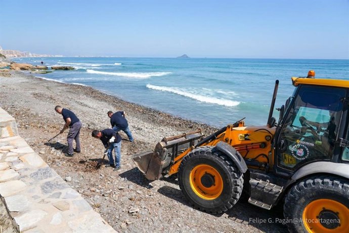 Trabajos de limpieza en las playas