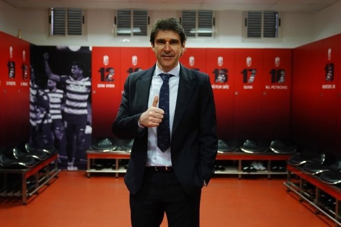 El nuevo entrenador del Granada, Aitor Karanka