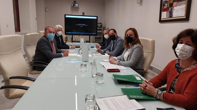 Reunión de la Comisión Mixta con el Consejo Andaluz de Colegios de Abogados