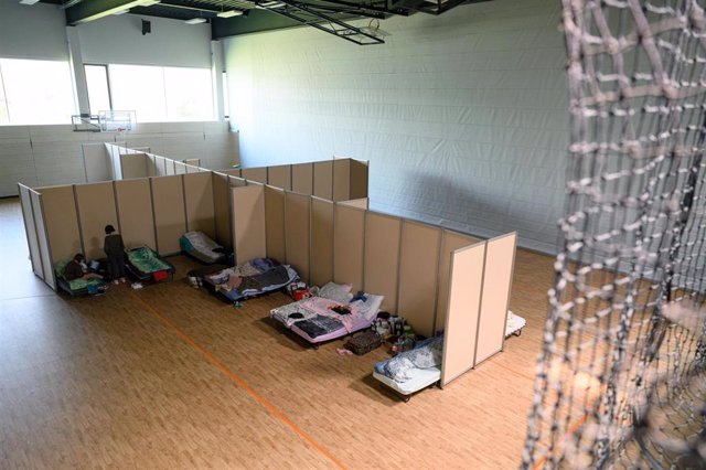 13 de abril de 2022, Sajonia, Dresden: Descripción general del gimnasio de la escuela secundaria Buergerwiese, que actualmente se utiliza como refugio de emergencia para refugiados de Ucrania.  Foto: Robert Michael / dpa