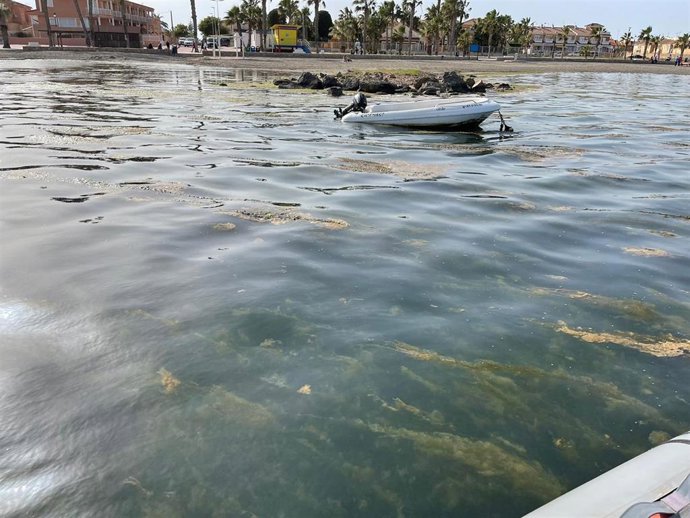 Situación del mar Menor en Los Alcázares a final del abril de 2022