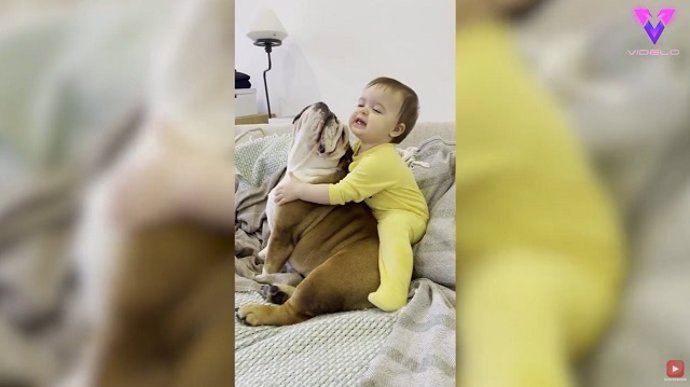 La entrañable amistad entre este Bull Dog y una bebé de un año se ha hecho viral