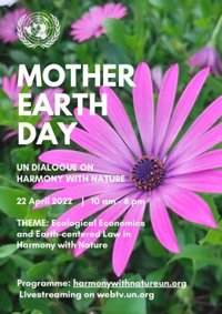 Dos profesores de la UMU presentarán la ILP del Mar Menor en la sede de la Organización para las Naciones Unidas