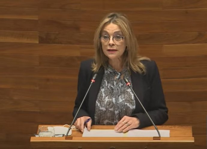 La portavoz de IU en la Junta General, Ángela Vallina