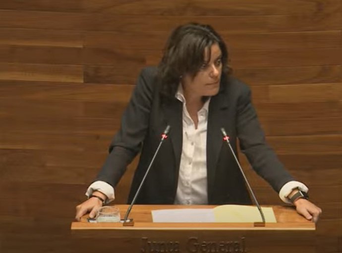 La diputada del PP en la Junta General Beatriz Polledo
