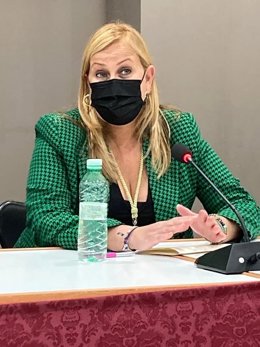 Sevilla.- IU ve "injustificada" la moción de censura de Palomares y avisa de un "pacto de intereses personales"