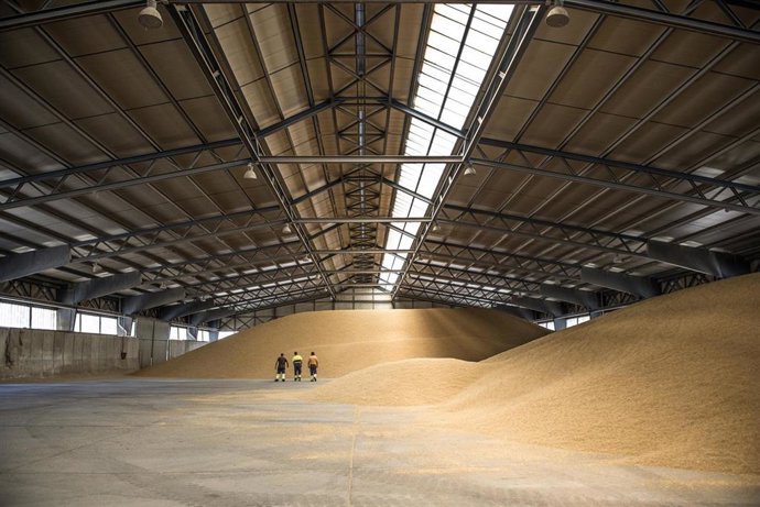 Archivo - El Puerto de Sevilla dispone de un millón de metros cuadrados para almacenamiento.