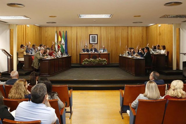 Archivo - El pleno de Mairena