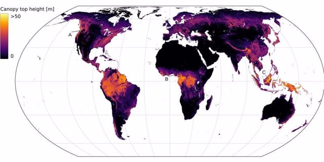 Investigadores de ETH han desarrollado un mapa mundial que, por primera vez, con aprendizaje automático, puede derivarse de imágenes satelitales y mostrar las alturas respectivas de la vegetación en alta resolución.