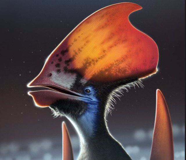 Reconstrucción artística del pterosaurio emplumado Tupandactylus, que muestra los tipos de plumas a lo largo de la parte inferior de la cresta: monofilamentos oscuros y plumas ramificadas de colores más claros