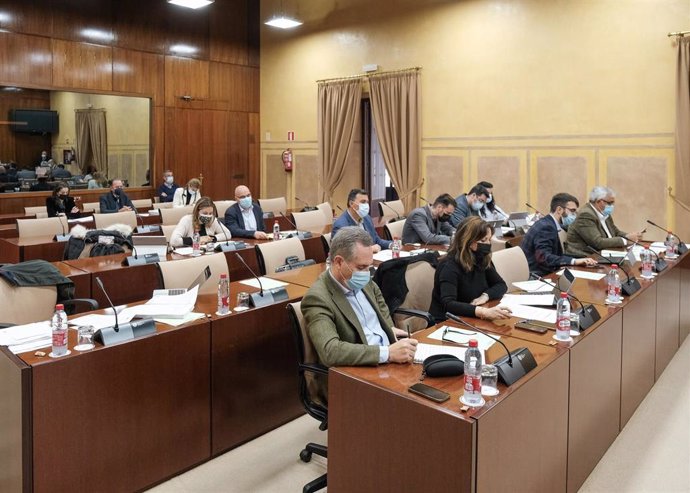 Sesión de la Comisión de Hacienda y Financiación Europea del Parlamento andaluz (Foto de archivo).