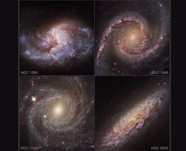 Muestra de galaxias con agujeros negros activos devorando sus estrellas