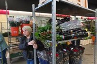 Los catalanes comprarán 6 millones de rosas por Sant Jordi, un 43% más según Mercabarna-flor