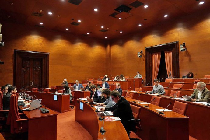 Comissió d'Afers Institucionals (CAI) del Parlament el 21 d'abril
